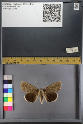 Media type: image;   Entomology 639474